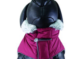 Dog coat   ALVA    55 cm