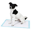 Tapis d apprentissage blanc/bleu  60X90cm