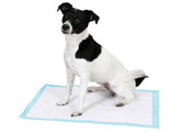 Tapis d apprentissage blanc/bleu  60X90cm