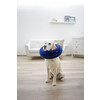 Collerette pour chiensgonflable bleue  25-35cm