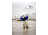 Collerette pour chiensgonflable bleue  25-35cm