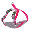 Tuig voor kleine honden XS  neon pink