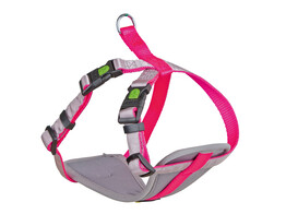 Tuig voor kleine honden XS  neon pink