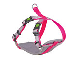 Tuig voor kleine honden XS  neon pink