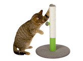 Arbre a chat Opal Basic vert/gris  50cm