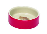 Bol en ceramique pour hamster   O7 5 x 2 5 cm  55 ml