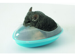 Chinchilla bath house