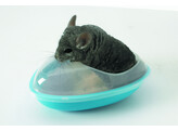 Baignoire pour chinchilla