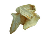 Dried lamb ears   bag  approx. 125g