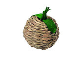 Seagrass apple   9 x  O7 cm