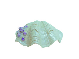 Aqua Ornaments  Coquillage    14 5 x 10 7 x 5 3 cm