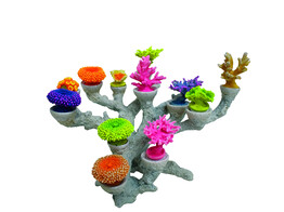 Aqua Ornaments  Corail   tetes interchangeables   26 6 x 21 3 x 18 5 cm