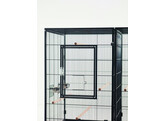 Cage pour oiseaux ou rongeur  Tasmania    120 x 65 x 107 cm