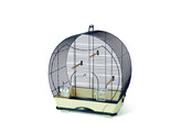 Bird cage  Evelyne 40    52 0 x 32 5 x 55 0 cm