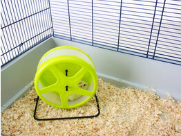 Rodent Wheel  ORBITAL    o 18 5 cm