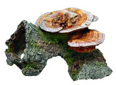 Aqua Ornaments  Taniere en bois avec champignons    18 x 19 x 10 cm