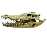 Aqua Ornaments  CROCODILE SCULL    47 5 x 20 5 x 16 cm