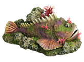 Aqua Ornaments  Poisson pierre  avec plantes   21 0 x 14 5 x 9 0 cm