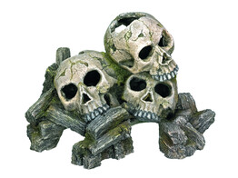 Aqua Ornaments  SKULLS    23 x 16 x 14 5 cm