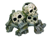 Aqua Ornaments  SKULLS    23 x 16 x 14 5 cm