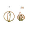 Cage Toy  climbing ring with shells   33 x O 22 5 cm