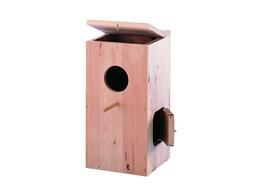 Parrot nesting box   30 x 30 x 61 cm