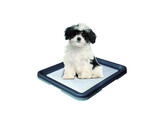 Doggy Trainer   S - 48 x 41 x 3 5 cm