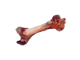 Cattle bone   large