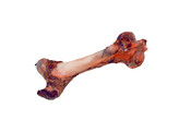 Cattle bone   large