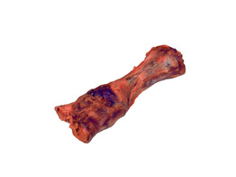 Calf s foot bone