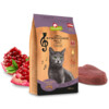 CAT DRY Symphonie No. 1 thon 300 g x 6