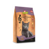 CAT DRY Symphonie No. 1 thon 300 g x 6