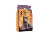 CAT DRY Symphonie No. 1 thon 300 g x 6