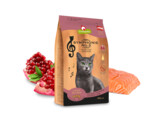 CAT DRY Symphonie No. 2 salmon 300 g x 6