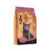 CAT DRY Symphonie No. 2 salmon 300 g x 6