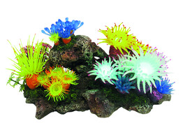 Aqua Ornaments  Aplysina  avec plantes  avec LED   27 7 x 14 3 x 14 0 cm