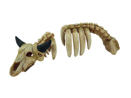 Aqua Ornaments  ANIMAL SKELETON    34 x 13 x 9 5 cm