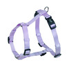 Harness  Classic    chest  70/90 cm  w  25 mm