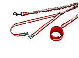 Jogging leash  Elastic    l  100/150 cm  w  25 mm