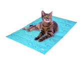 Reversible-cooling mat  Bubble    S  50 x 40 cm