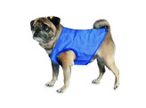 Pet Ice Vest   XS  20 cm