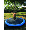 Splash Pool   O 150 cm