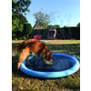 Splash Pool   O 150 cm