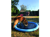 Splash Pool   O 150 cm