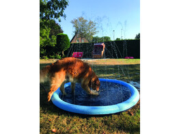 Splash Pool   O 100 cm