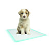 Tapis d education   50 pcs.  L - 60 x 60 cm