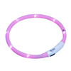 Collier lumineux a LED  PUPPY    O 10 mm  45 cm