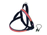 NORWEGIAN Harness  FLASH MESH    orange