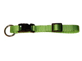 MIAMI halsband  appelgroen 10 mm  verstelbaar 20 - 35 cm