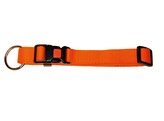 Collier Miami orange  30-45cm  15mm